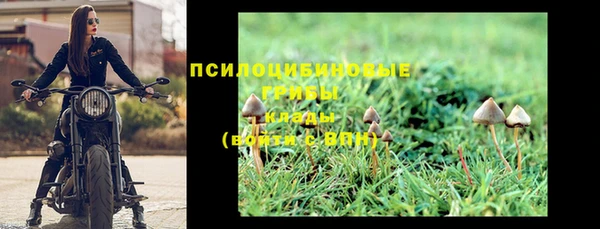 прущие грибы Алексин
