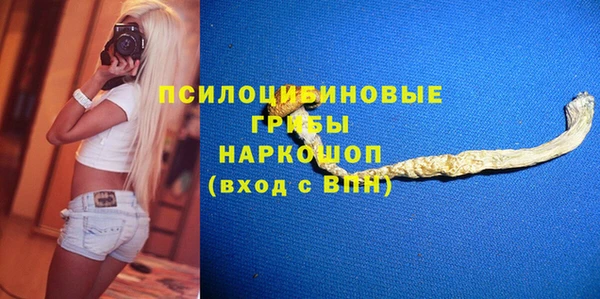 прущие грибы Алексин