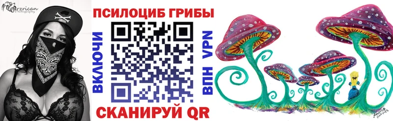 darknet телеграм  Ельня  Галлюциногенные грибы Magic Shrooms  кракен зеркало 